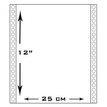 1000 Formularios Continuos medida 12¨x 25cm impreso a 1 color x duplicado